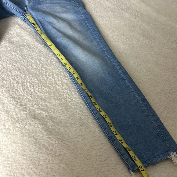 Frame Le Boy in Pamder End Jeans Size 26